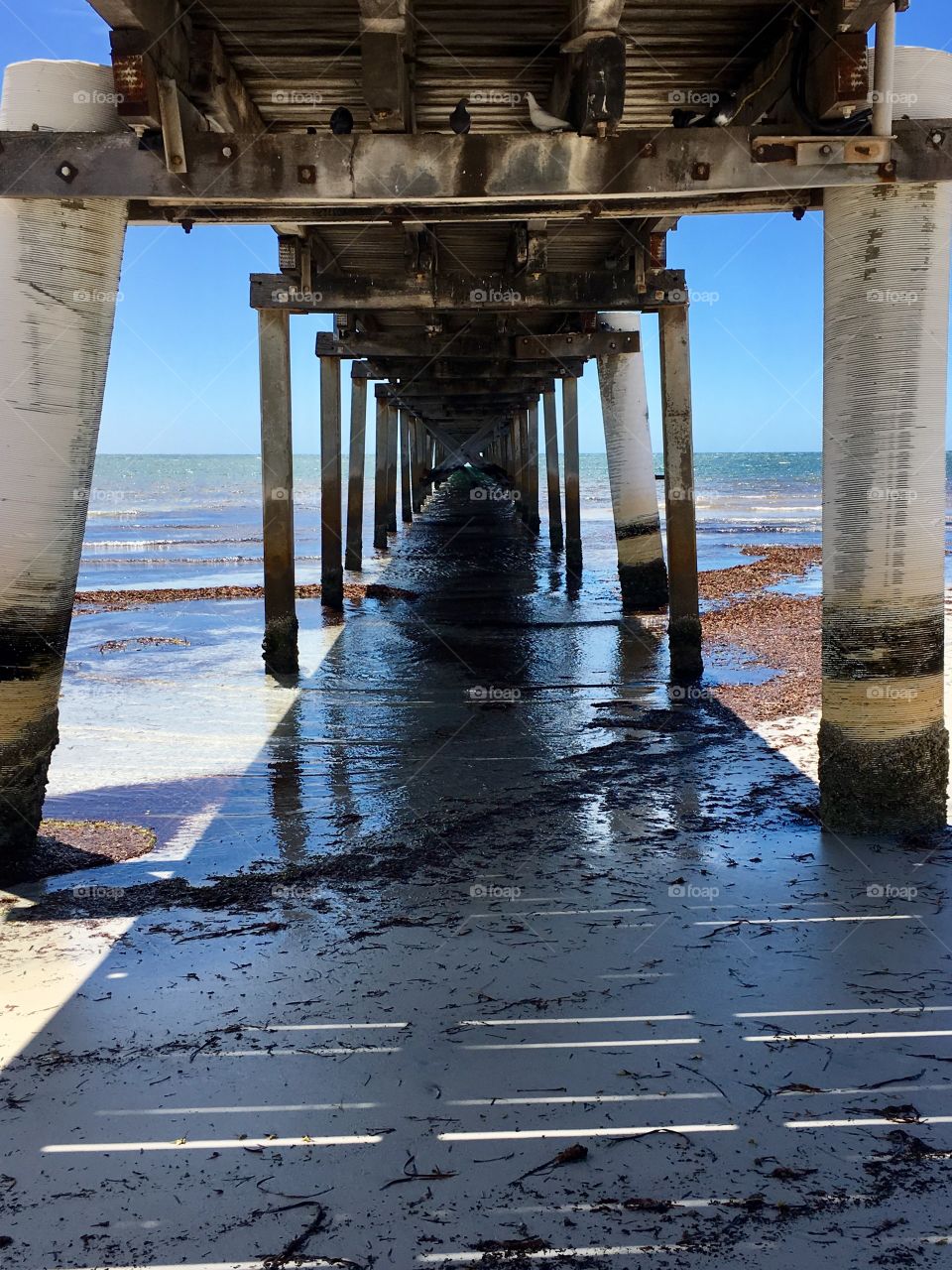 View underneath the Jetty