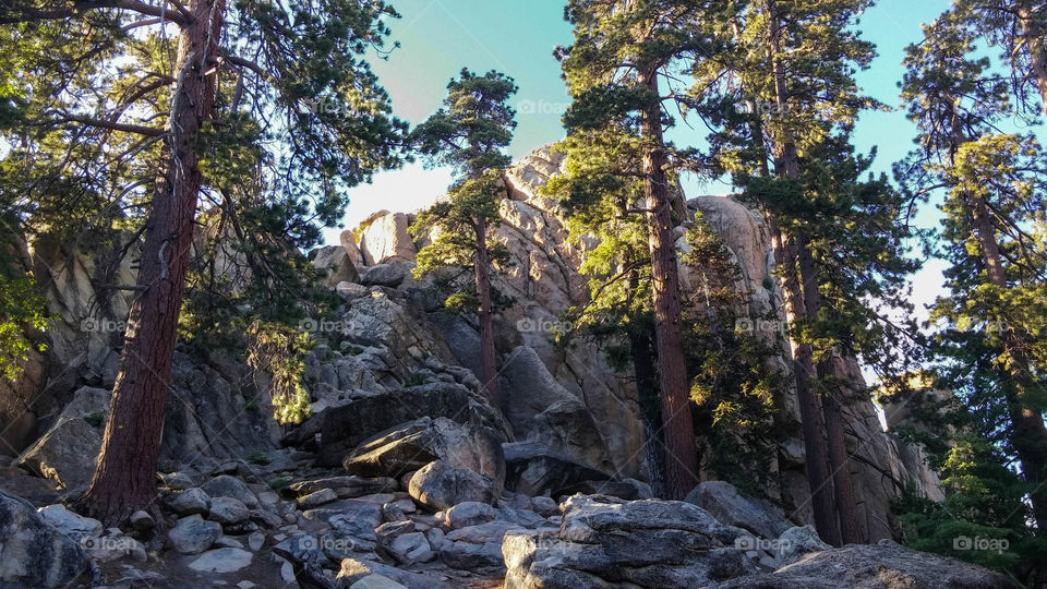 big bear landscape