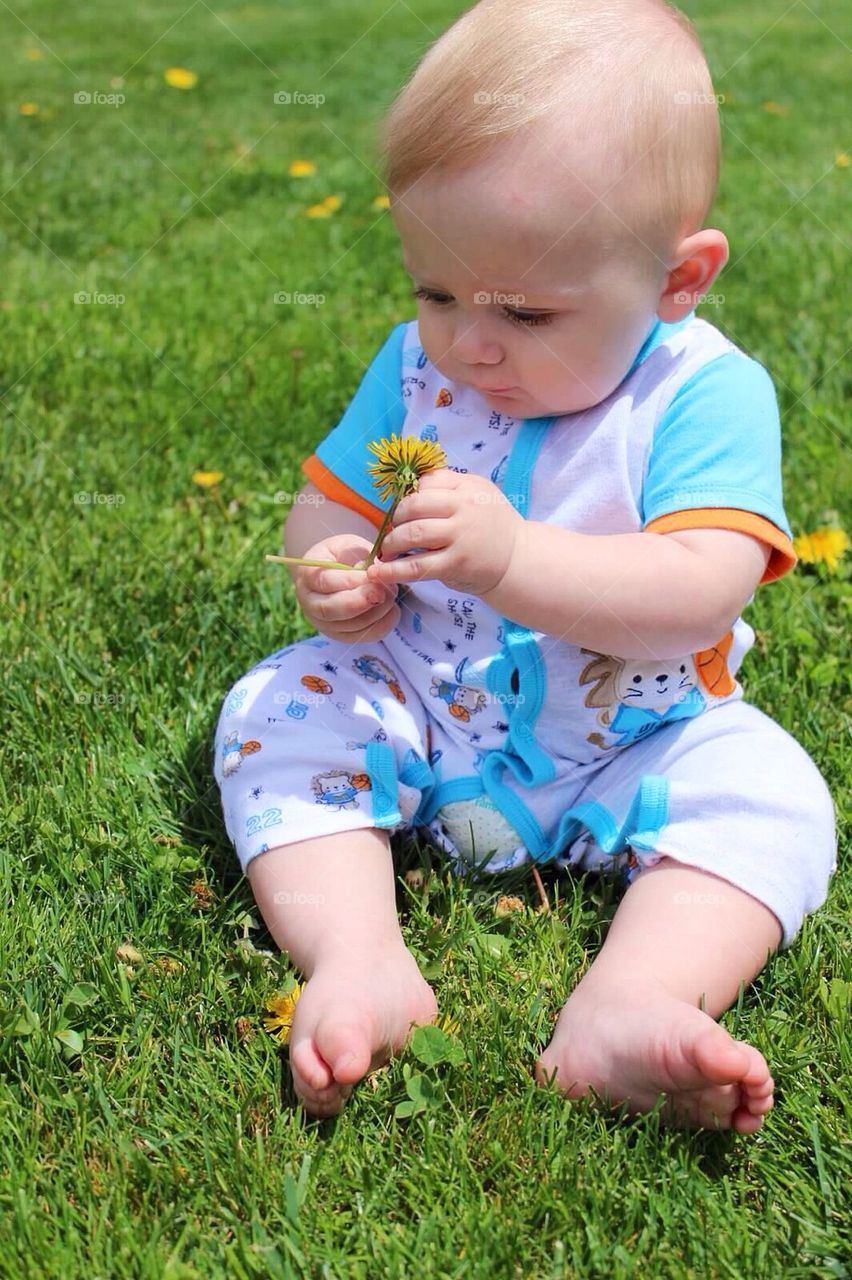 Picking Dandelions