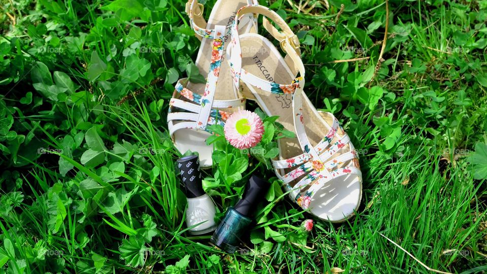 shoes on the grass