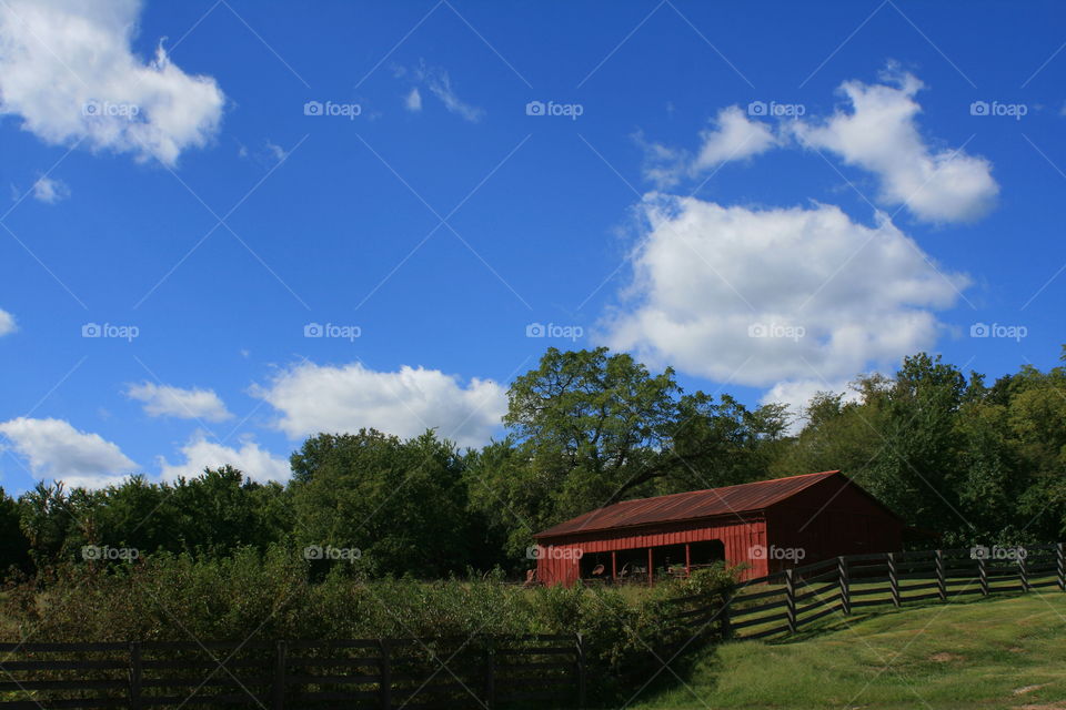 Red Barn