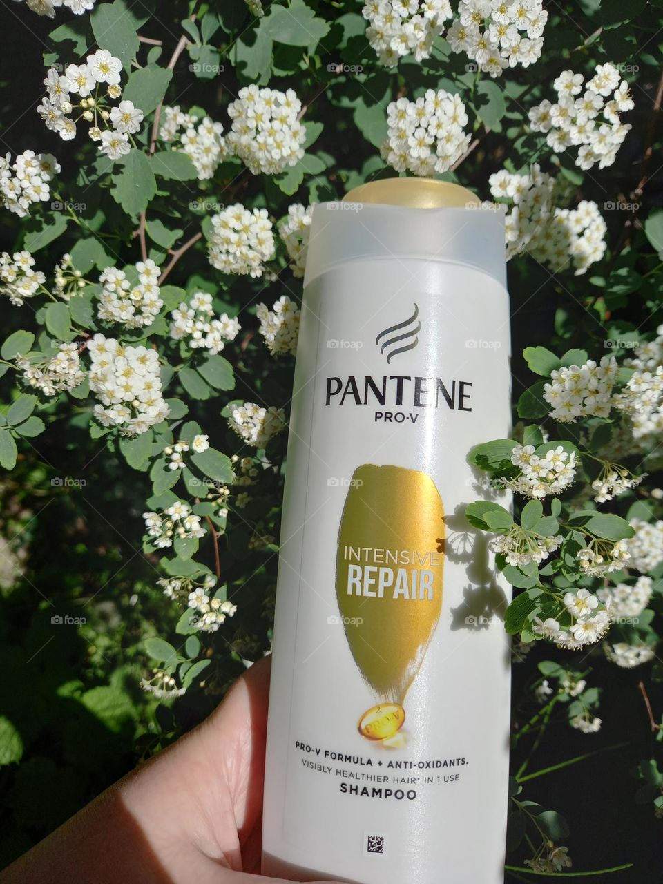 Favourite shampoo - Pantene!
