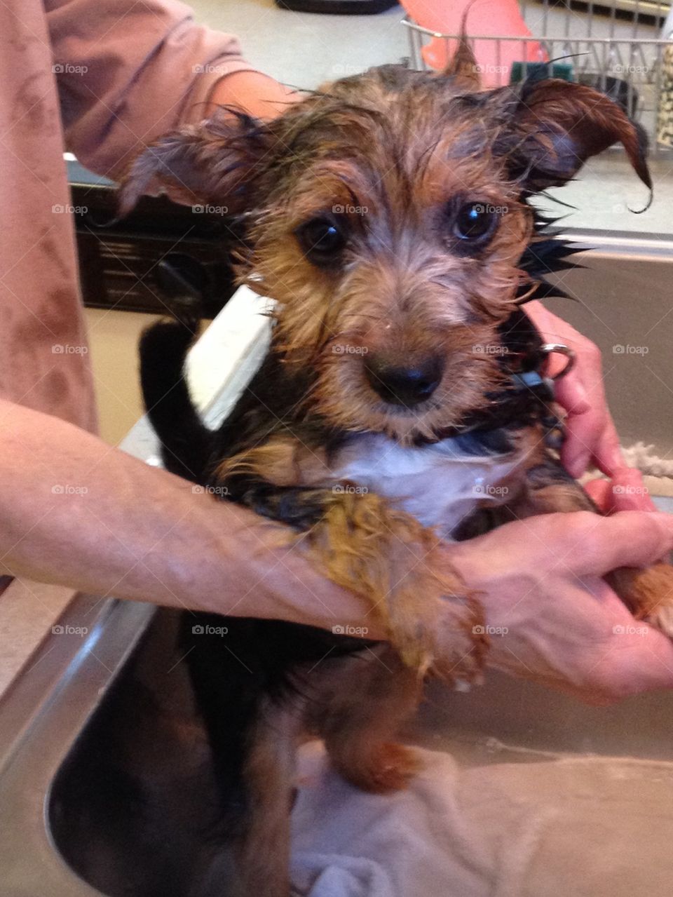 First bath