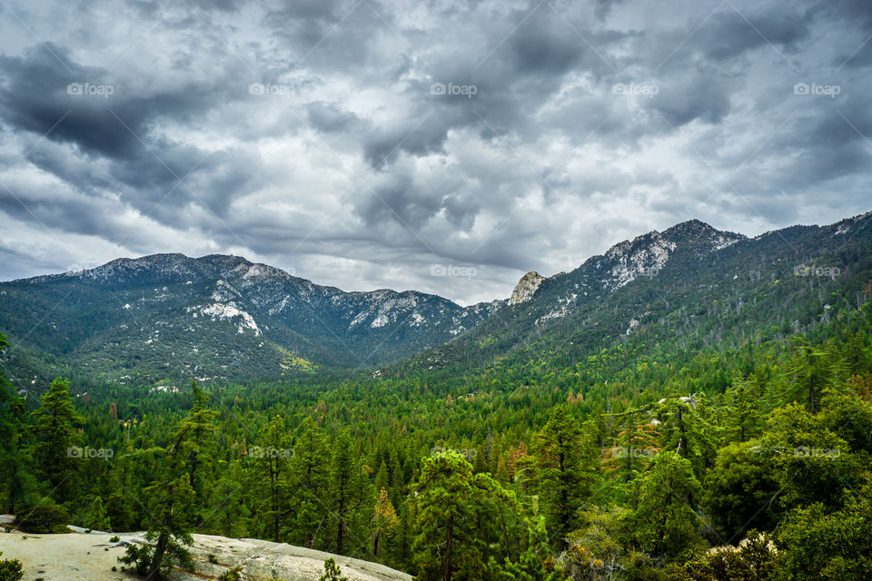 Idyllwild 1