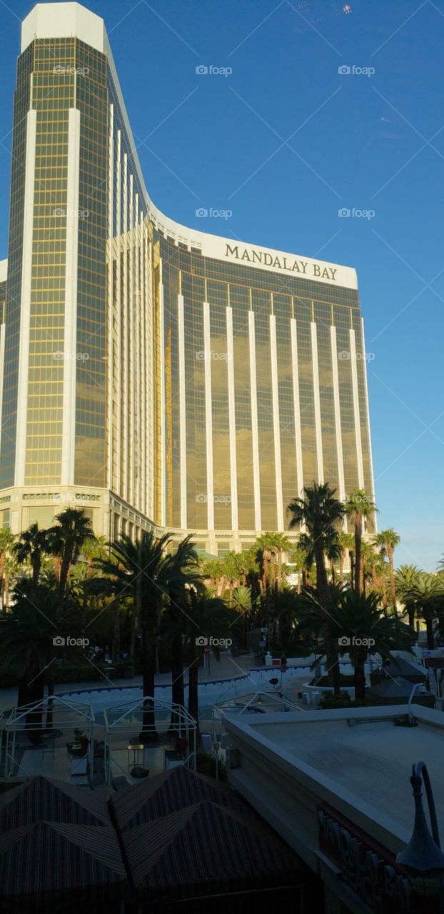 Las Vegas (this is where the shooting happened)
