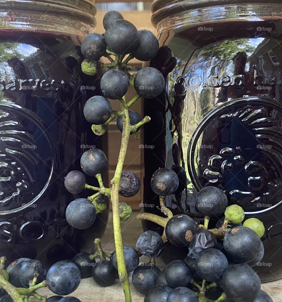 Homemade Grape Jelly from sustainable land