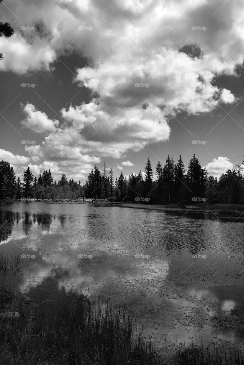Black and white reflections