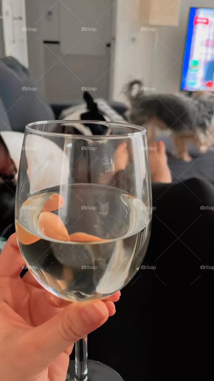 Wine and dogs 