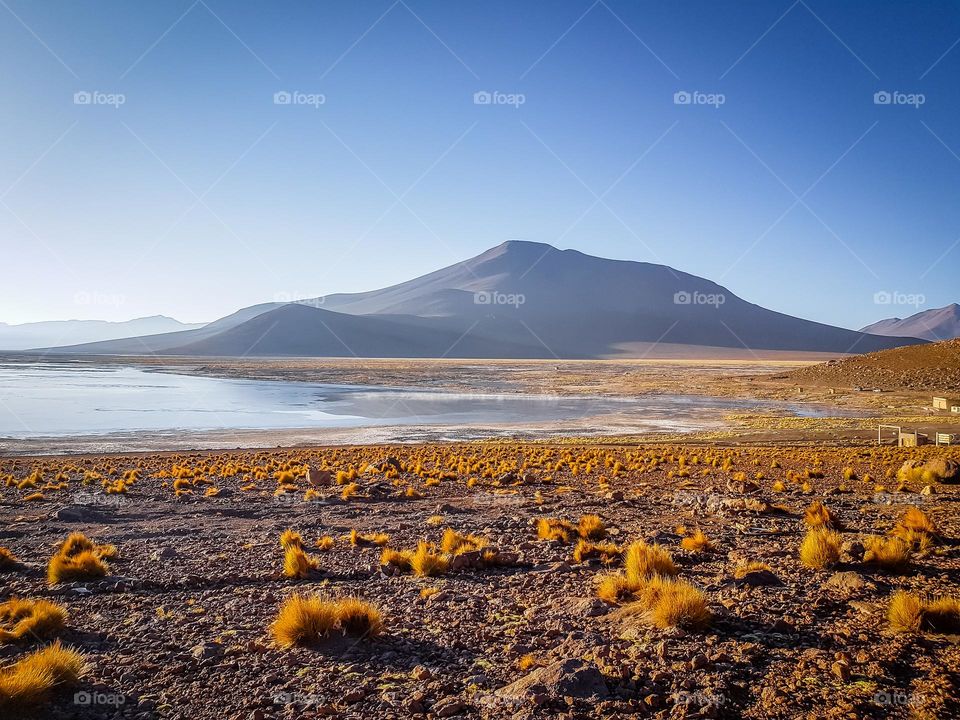 Laguna Colorado