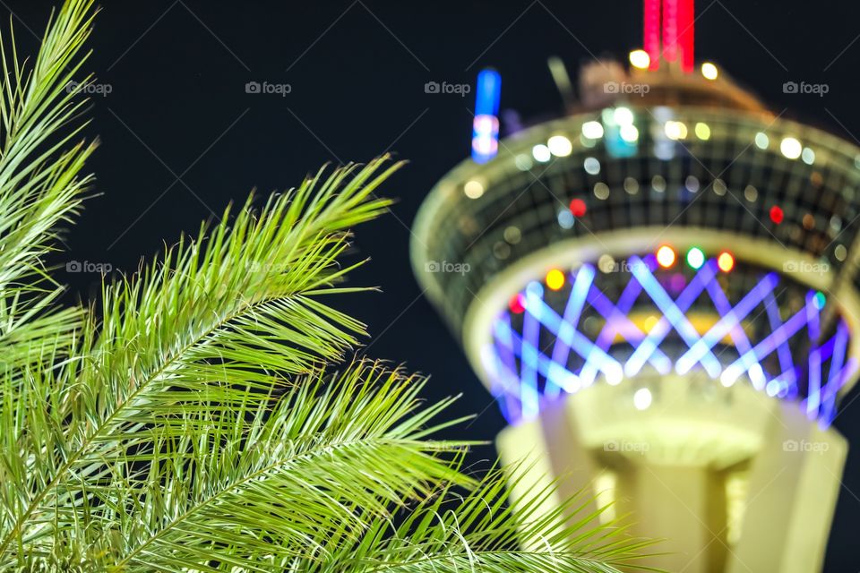 The iconic Stratosphere tower in bokeh with the focus on palm tree. Las Vegas, Nevada, USA.