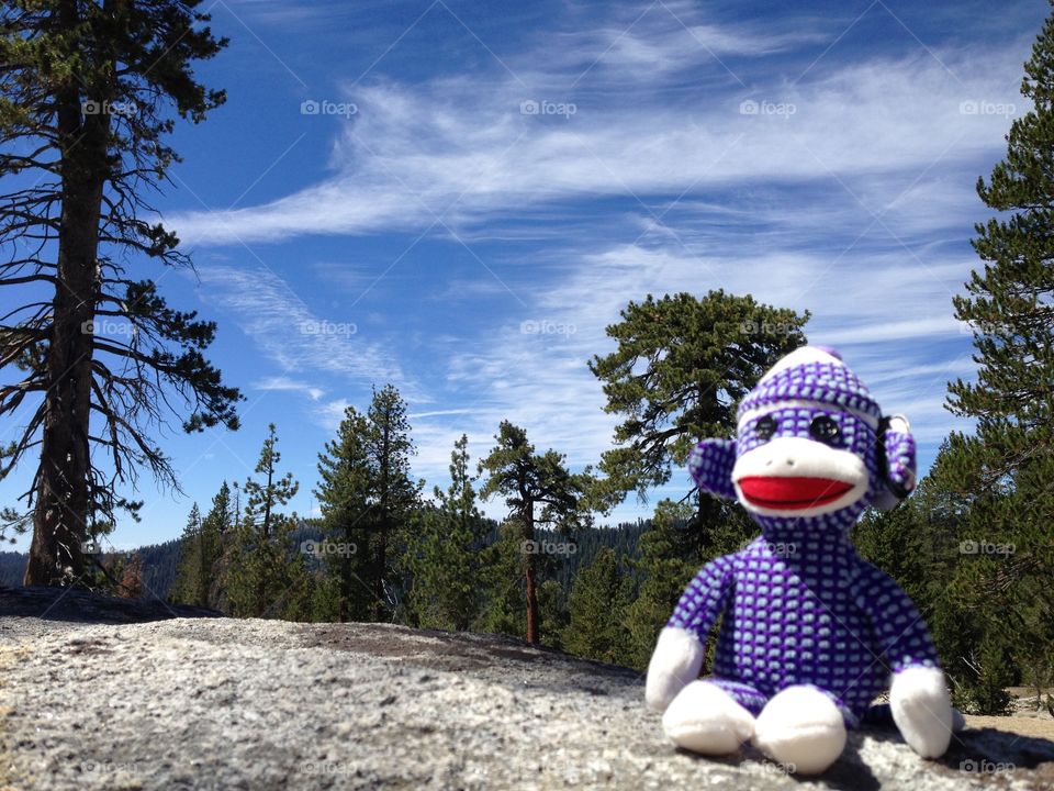 Sock Monkey Mountain. Plushed photo