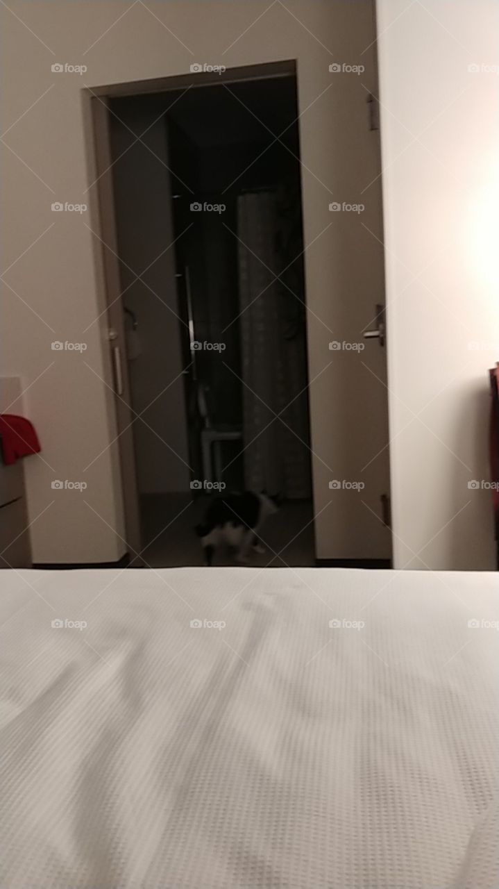 doorway,black,bed,handle,