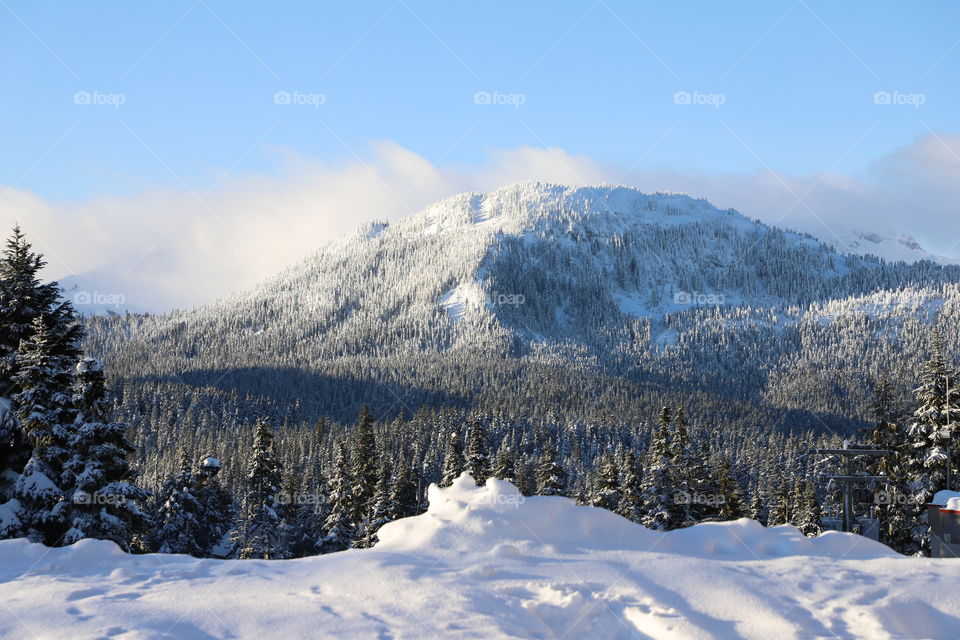 Winter on a mountain with lots of snow 