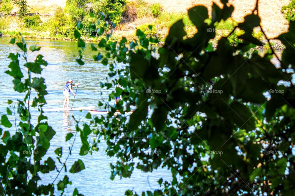 Sacramento River paddle boarding