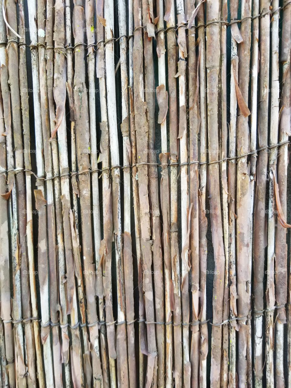 old bamboo texture