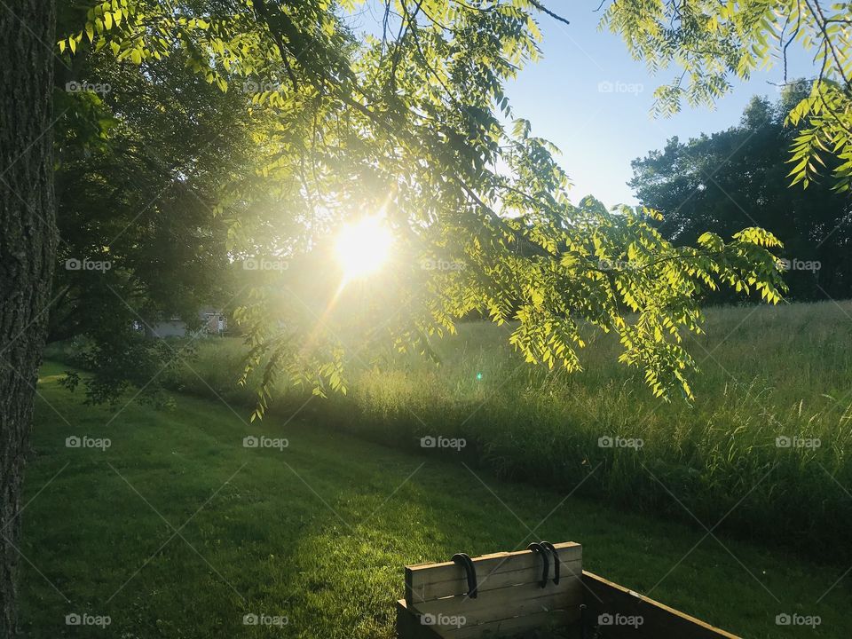 Gorgeous sunset with sun shining through tree branches, beautiful grassy field and fun horse shoe pit. 