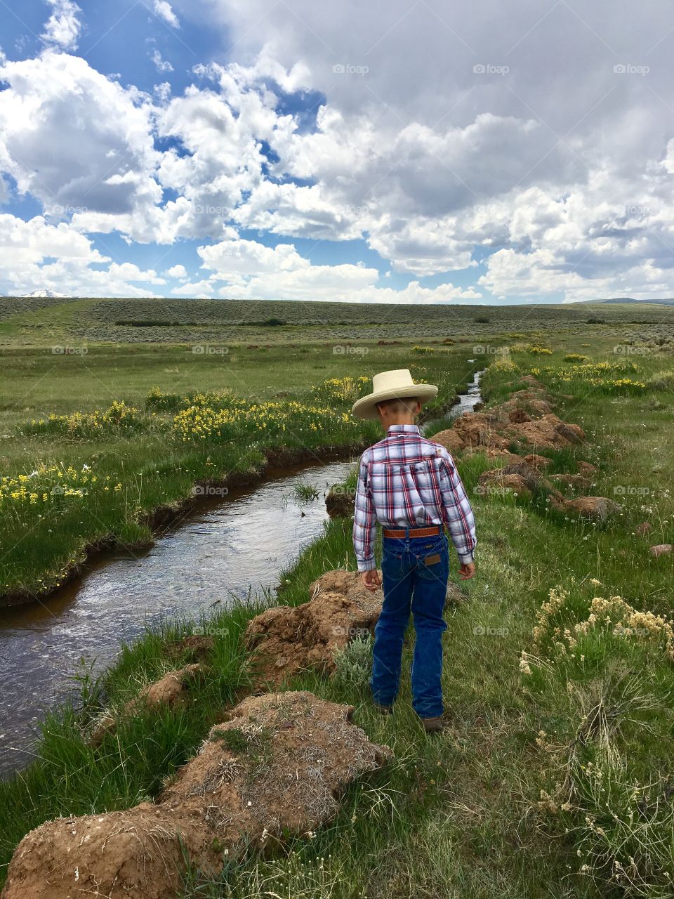 Little cowboy in the big wide country. Cowboy hat, belt and boots. Country life. Blue skies, slow beautiful steams and wide open fields of yellow wild flowers. Just a boy in the country.