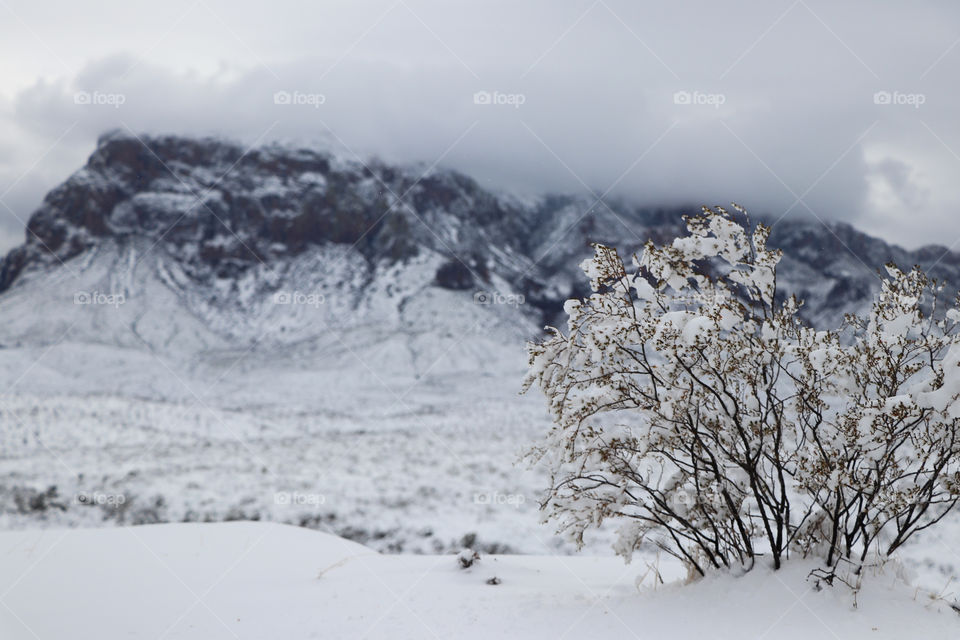 Winter landscape at Big Bend National Park