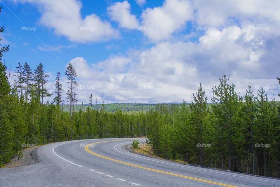 Road, No Person, Landscape, Tree, Wood