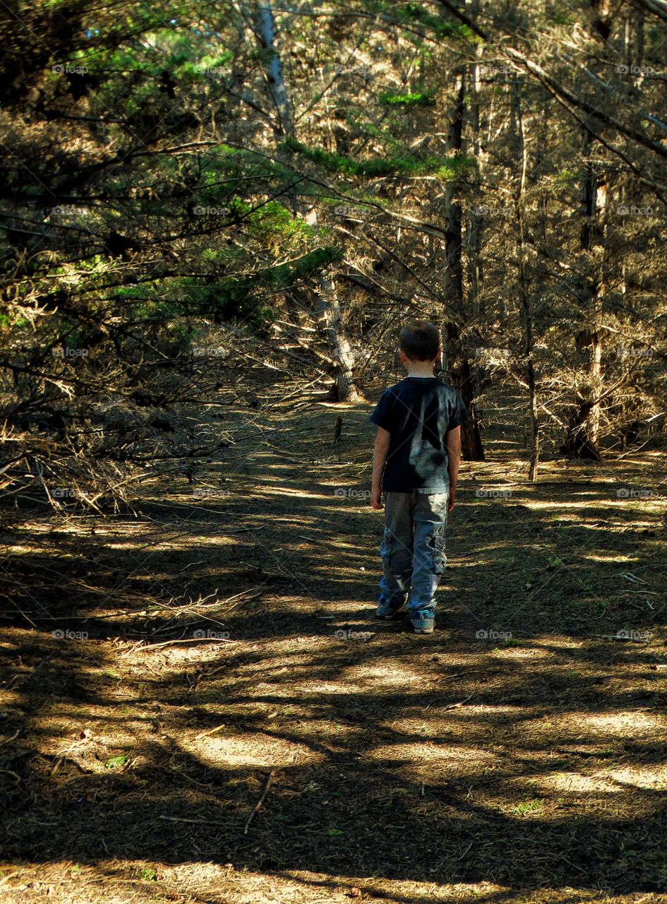 Young Boy Walking Alone In The Woods
