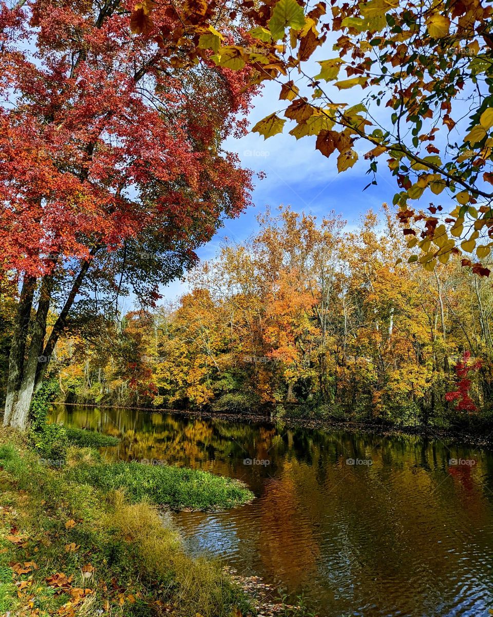 Autumn Lake