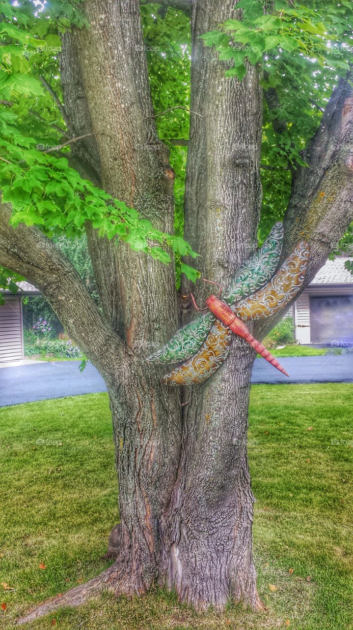 Yard Art. Dragonfly 