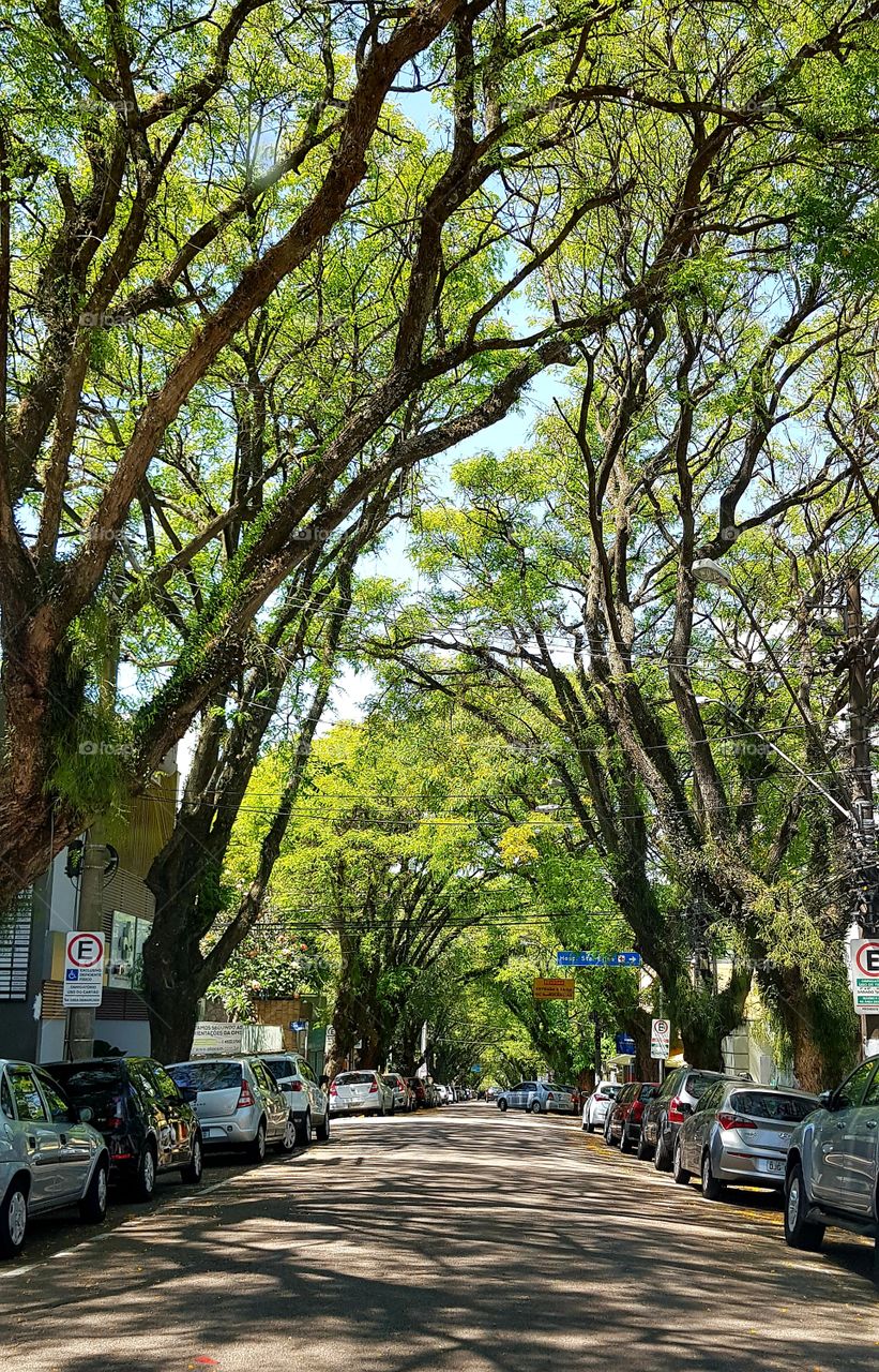 street view  - Jundiaí SP  - Brazil