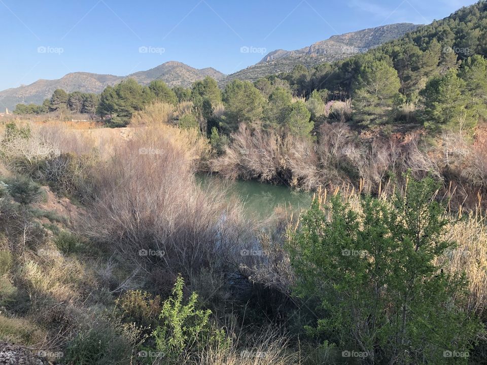 A glimpse of a stream can be seen through dense foliage leading to hills and a blue sky in the distance - no edits, #no filter, #true photos, #true nature