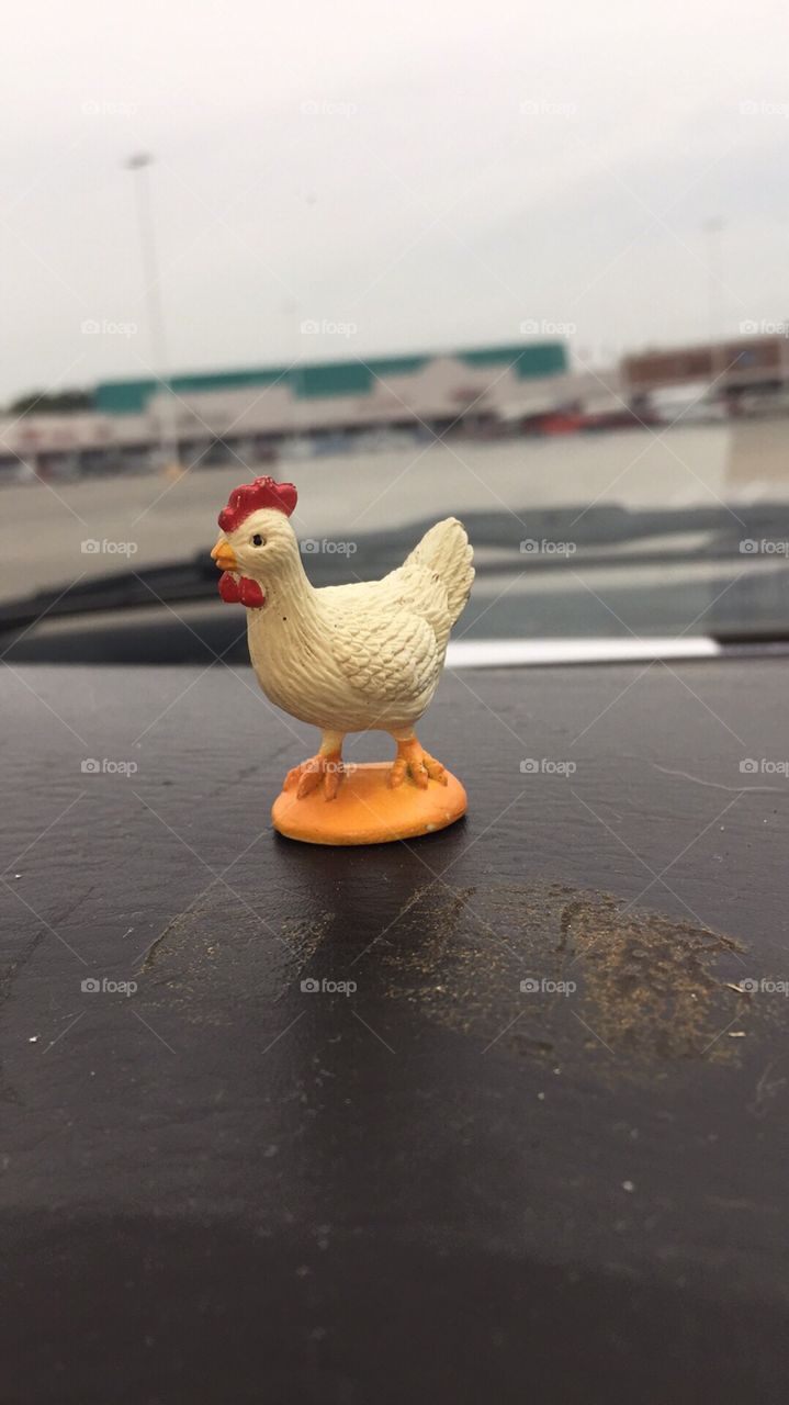 City chicken