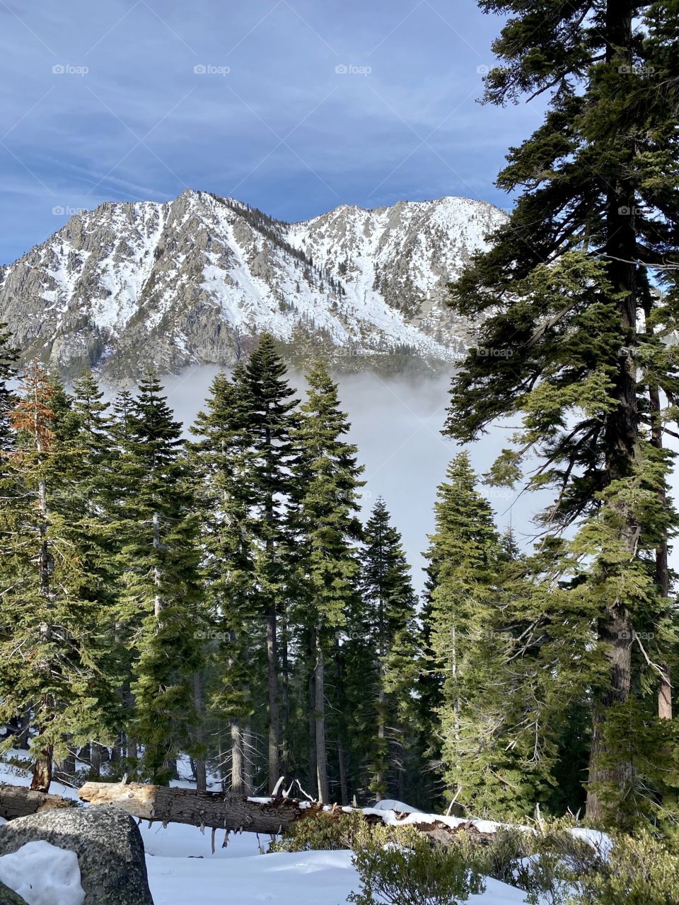 Winter in mountains