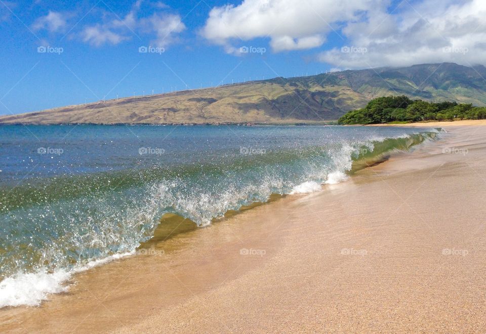 Beach and ocean view Hawaii