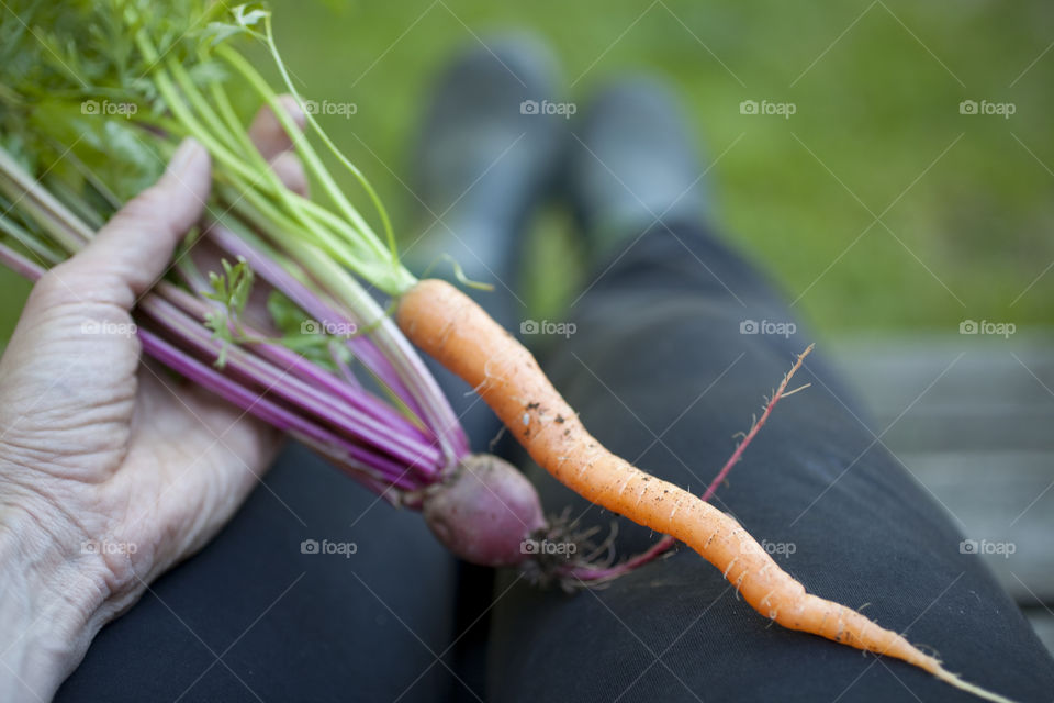 Woman holding carrot and beetroot in hand