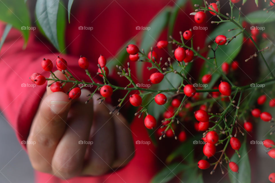 red color composition