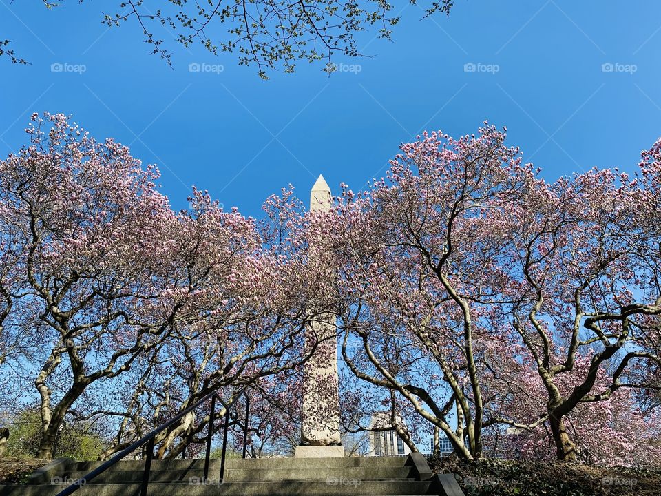 Cleopatra’s Needle Central Park 