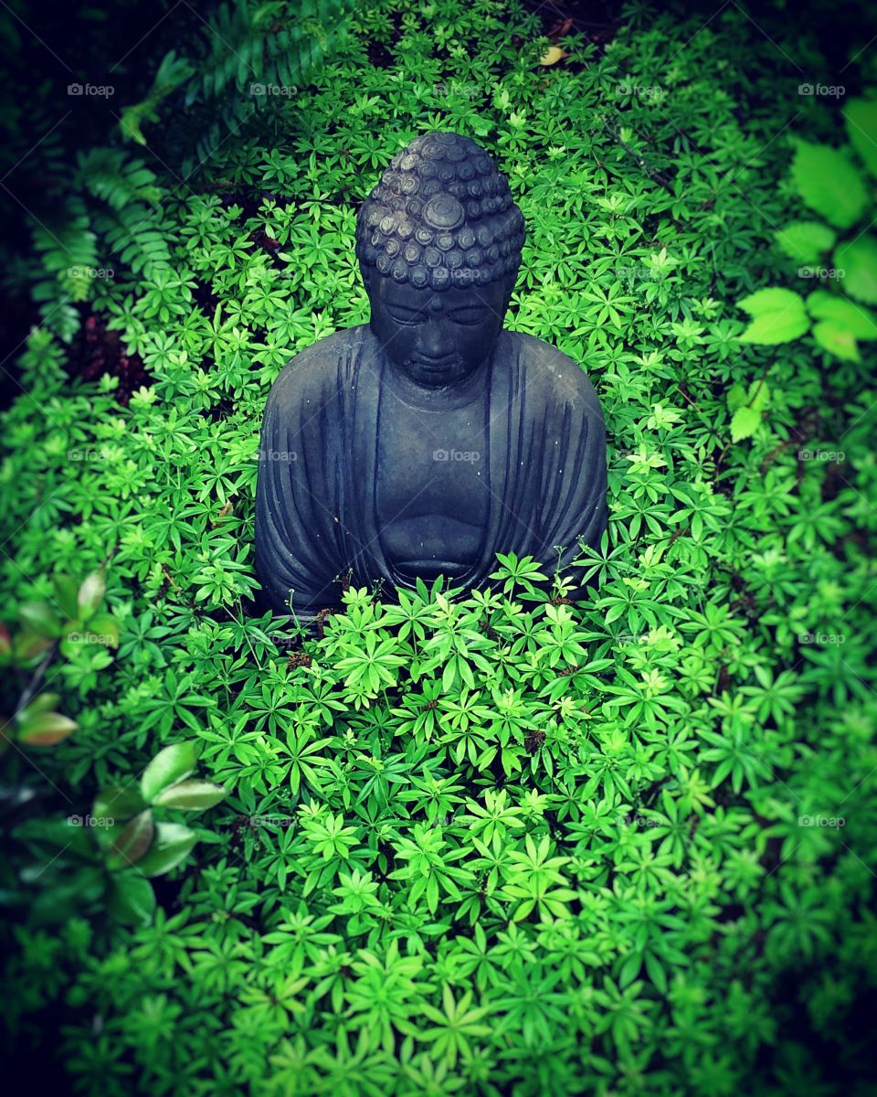 Statue in garden bed