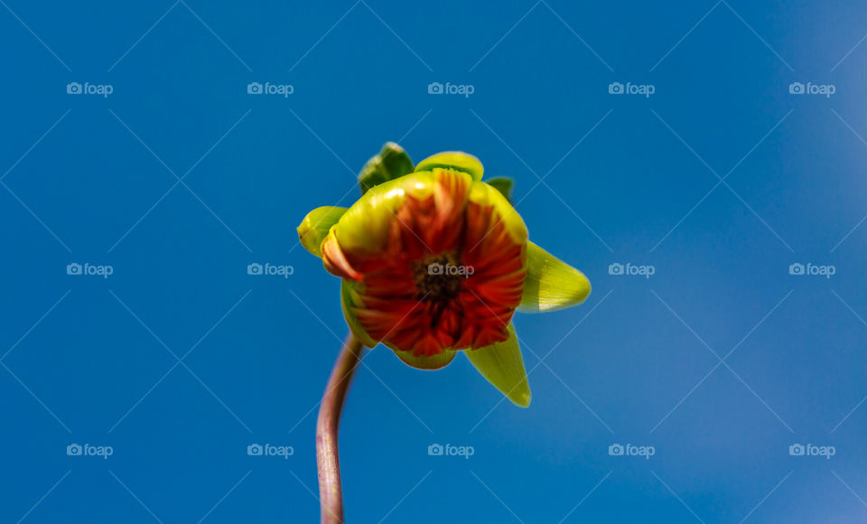 life is about to happen