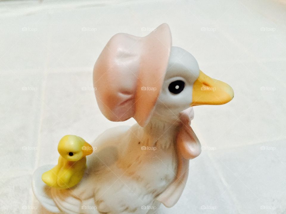 My duck 