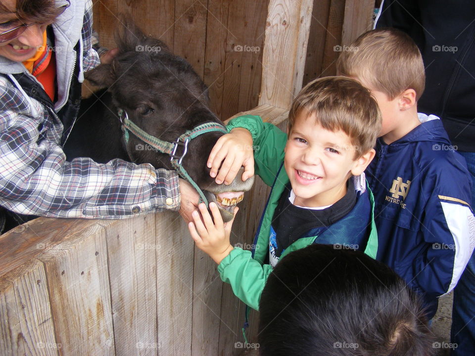 Boy holding the donkeys mouth open showing its teeth.