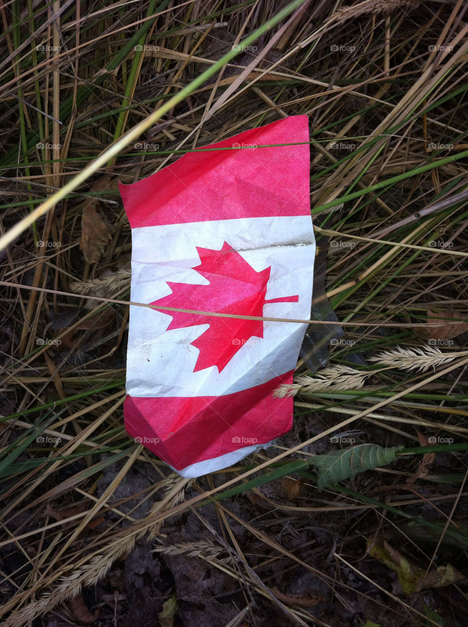 canada winnipeg by deco_guy