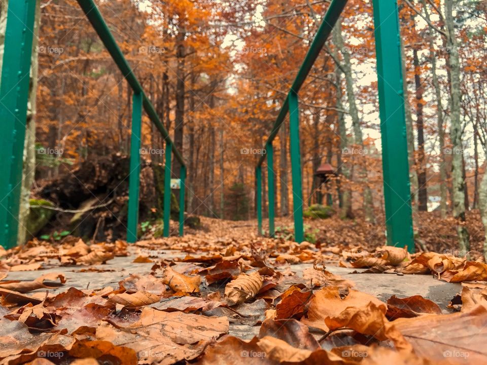 Brown leaves fallen on wooden bridge 