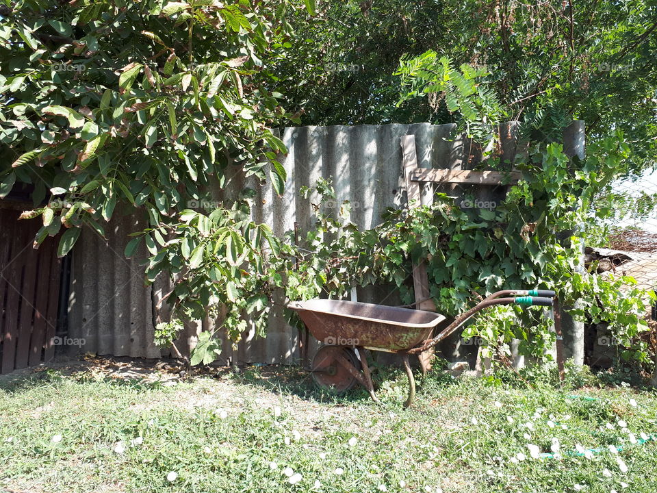 Wheelbarrow near the fence