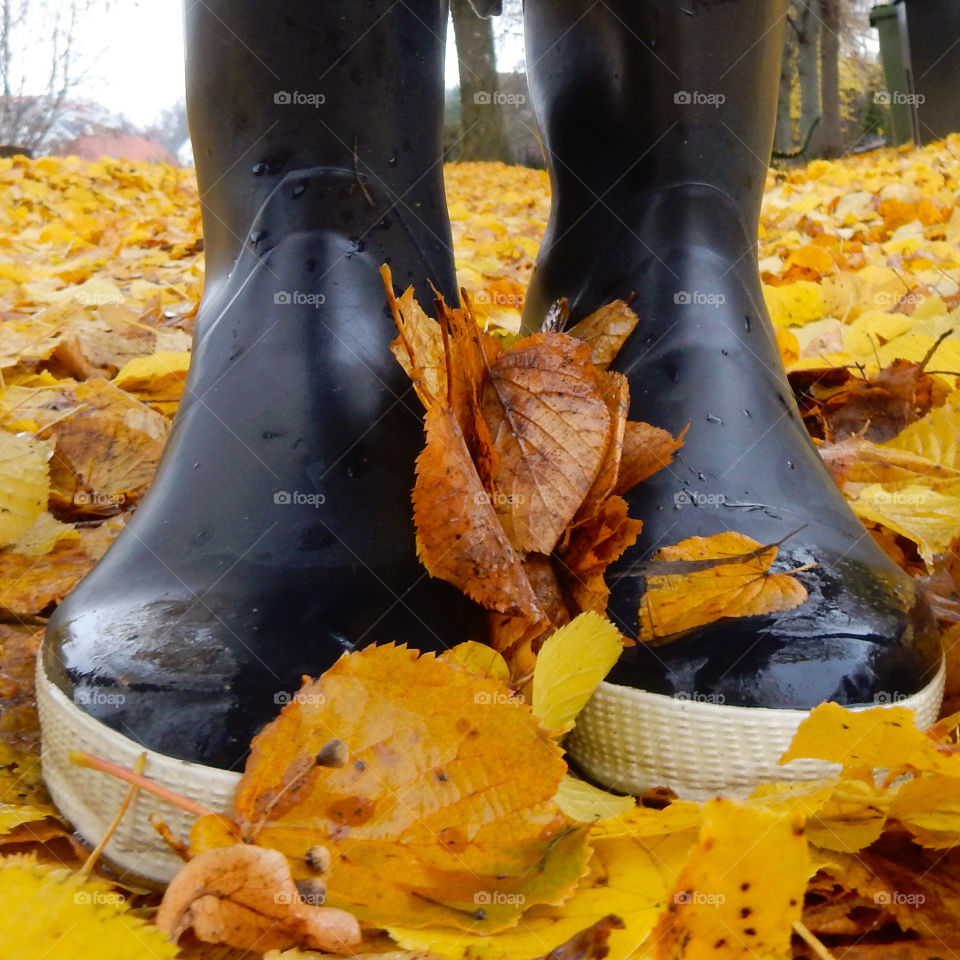 Low section of person standing on leaves