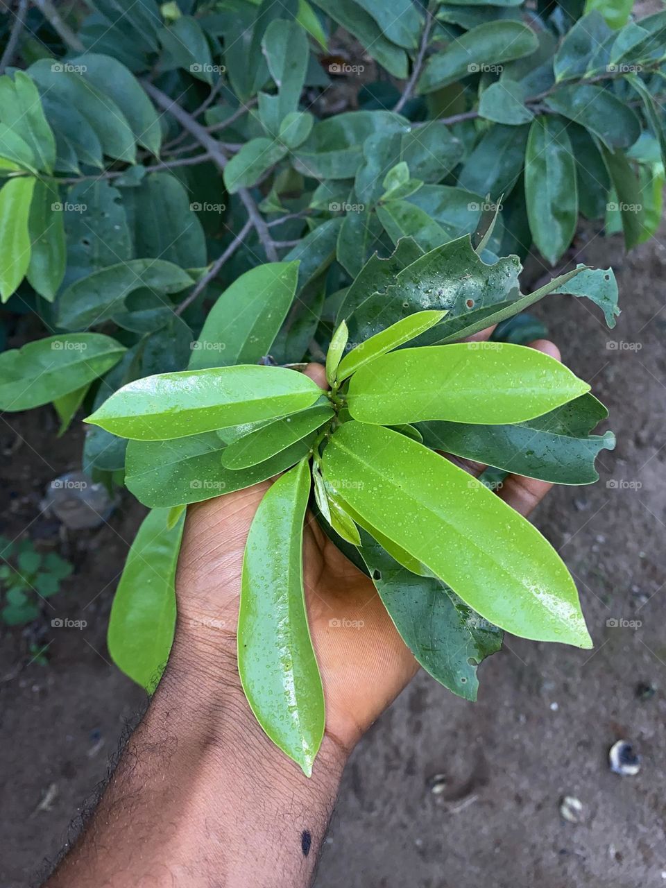 Keep smiling, because life is a beautiful thing and there's so much to smile about. - 