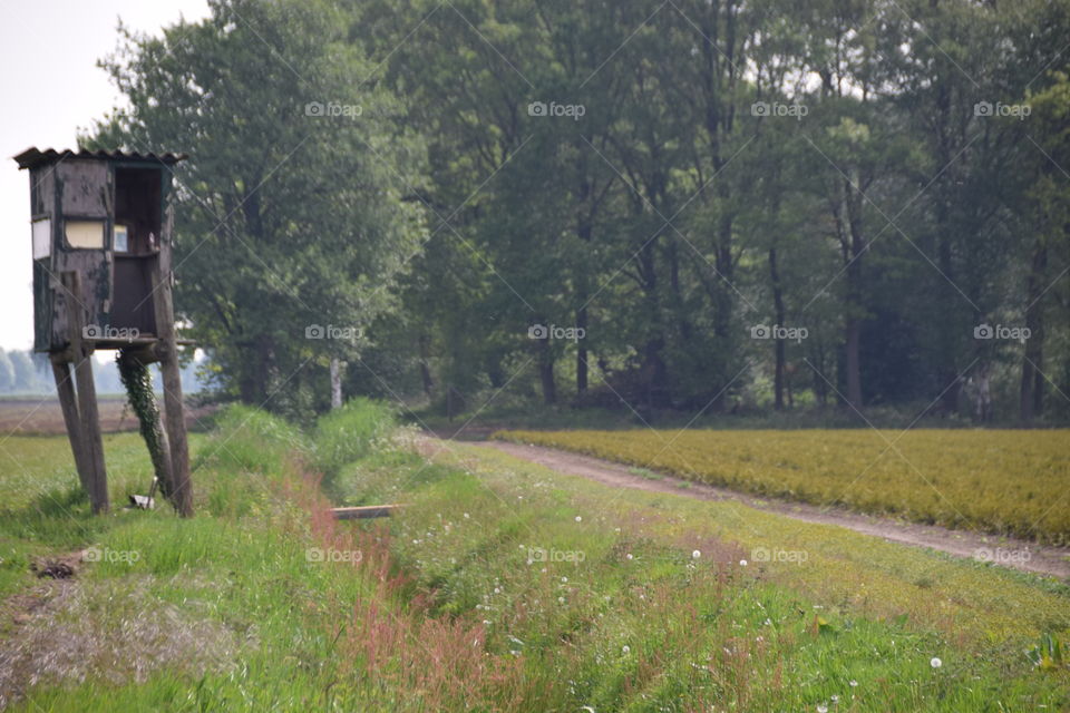 Hochsitz am Waldesrand