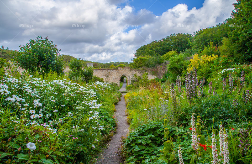 Gardenscape 