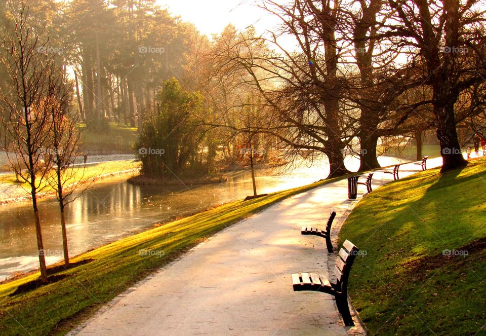 Scenic view of public park at sunset