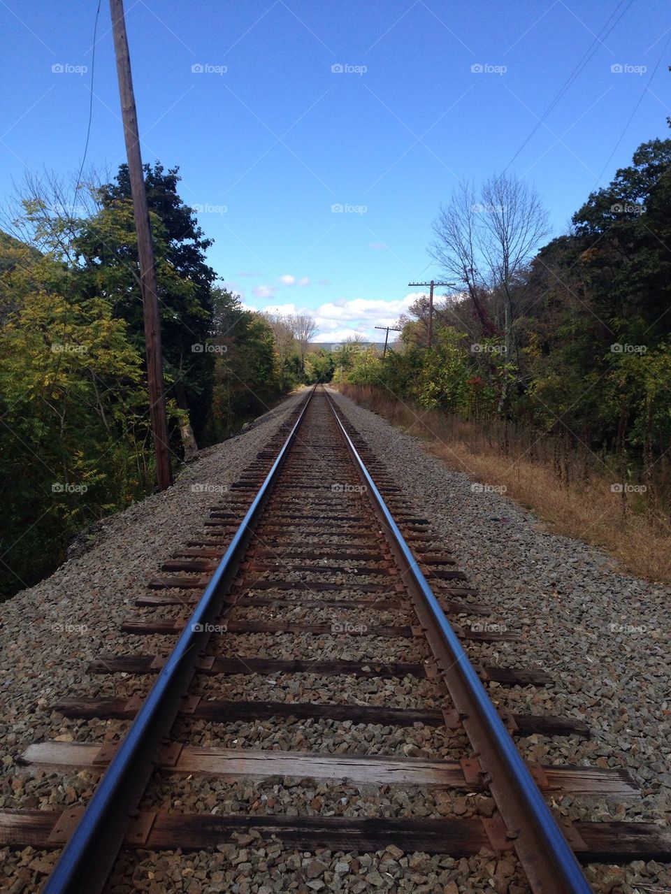 Rail road