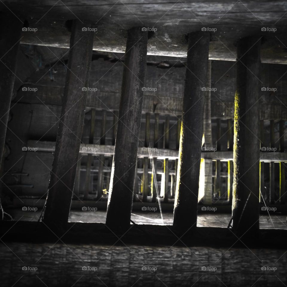 Terrifying silence... A footstep comes to my side from a distance.  .  .Oops... a lizard jumped on the head