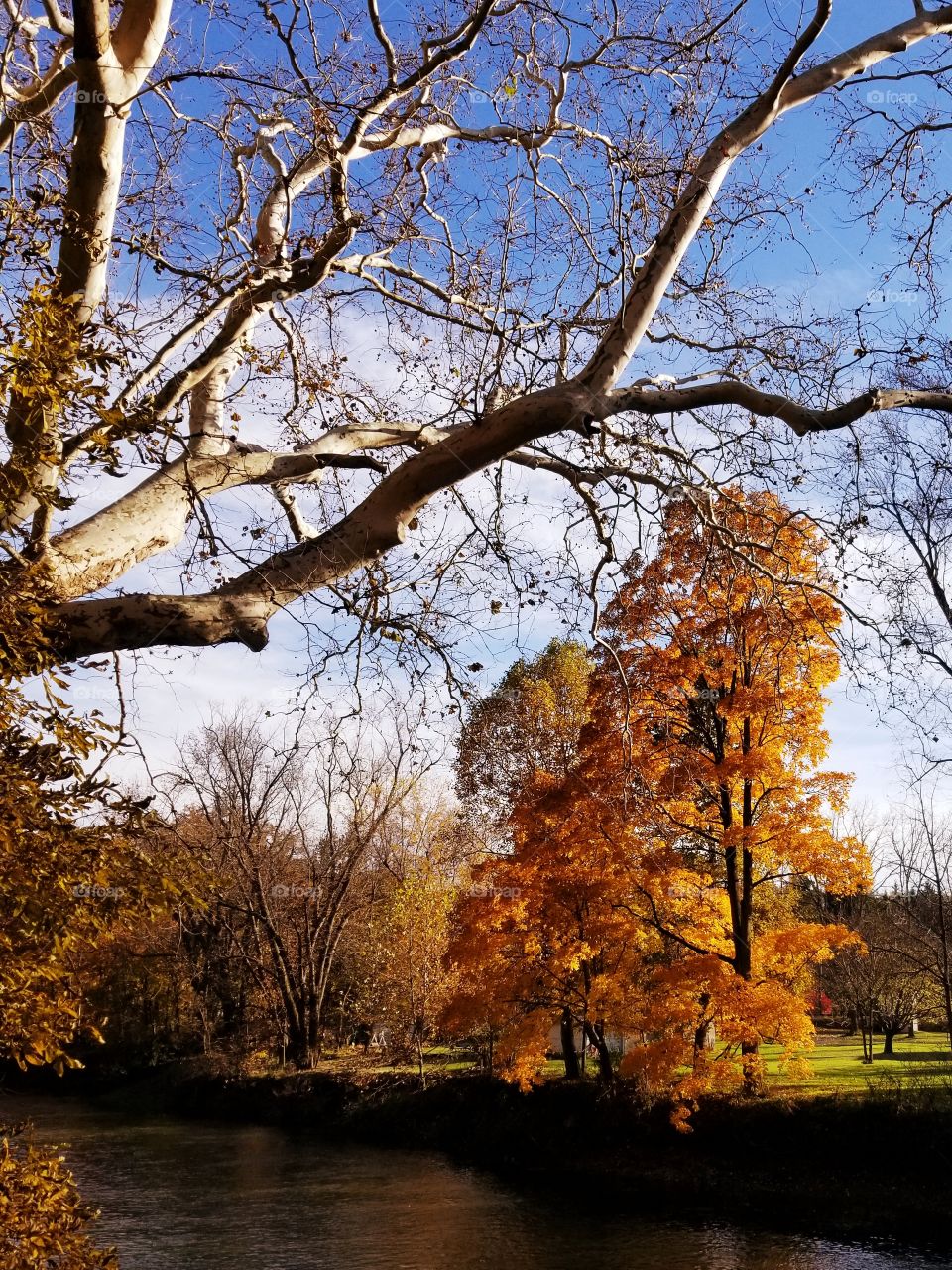 Fall colors in Western Pennsylvania