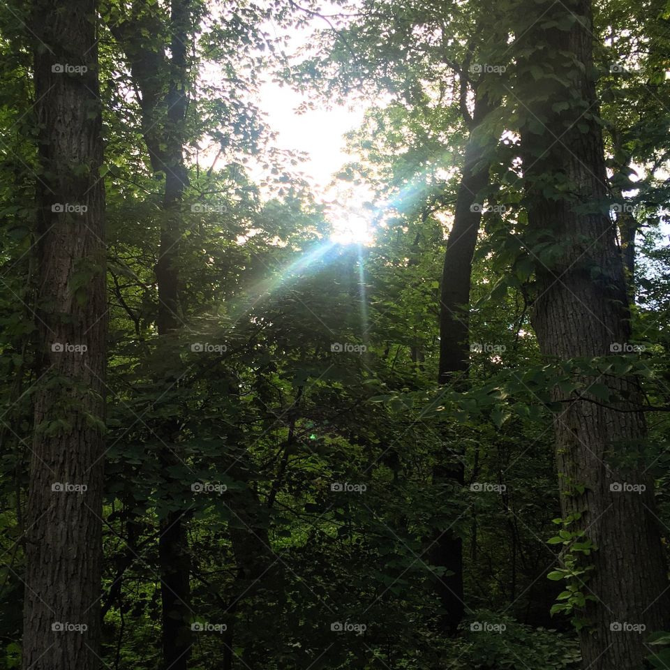 Up early this morning ahead of the fireworks and crowds to enjoy a quiet run. 